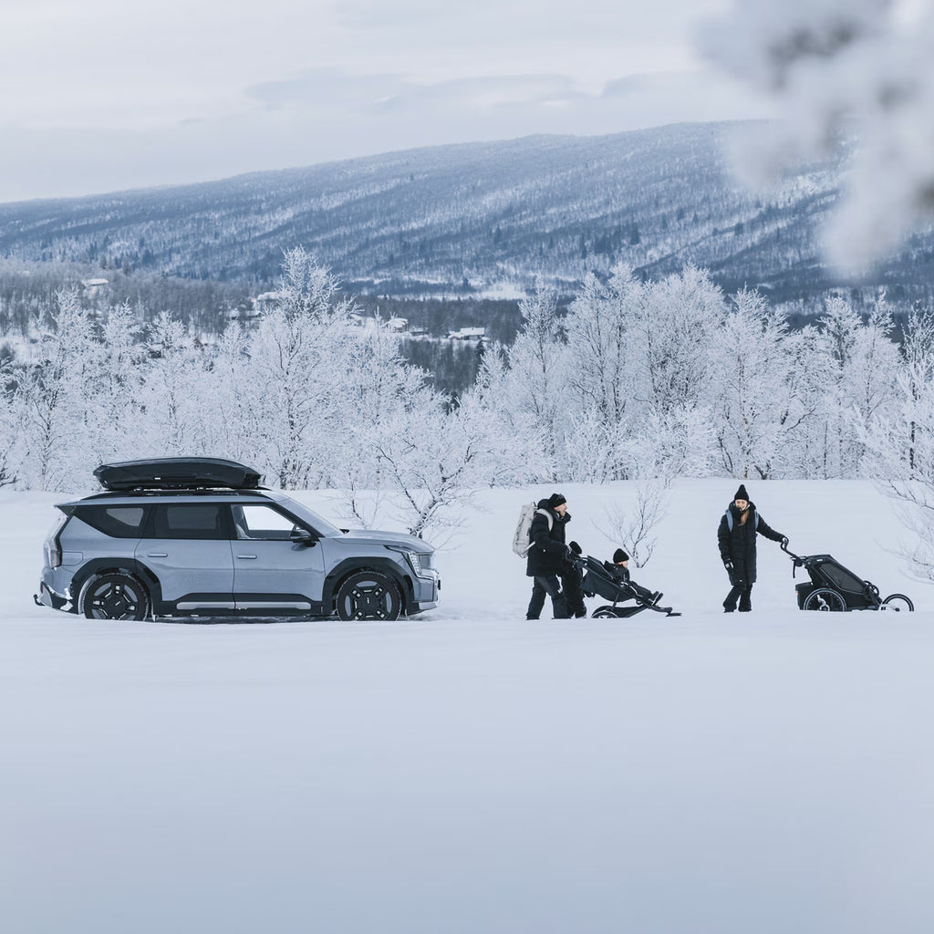 Thule Motion 3 Box essentials bundle (L)