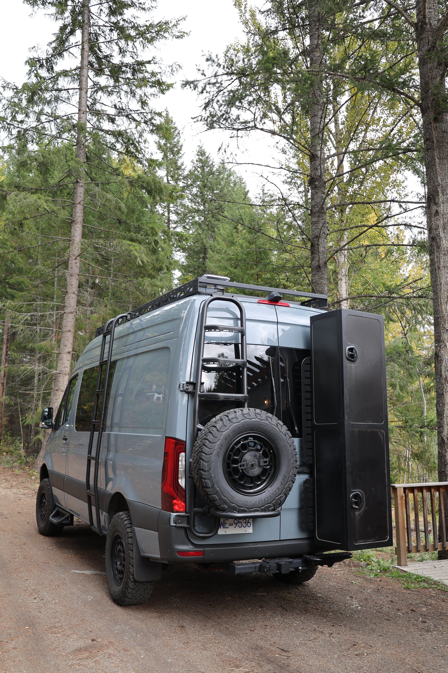 Sprinter two-in-one tire ladder carrier