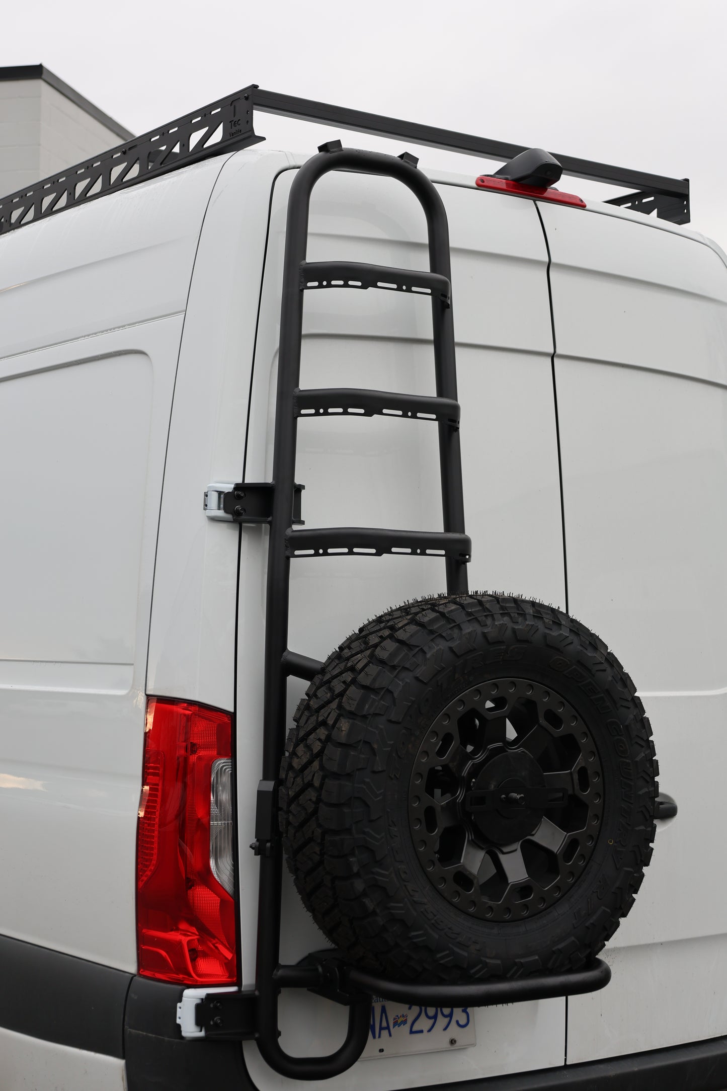 Sprinter two-in-one tire ladder carrier