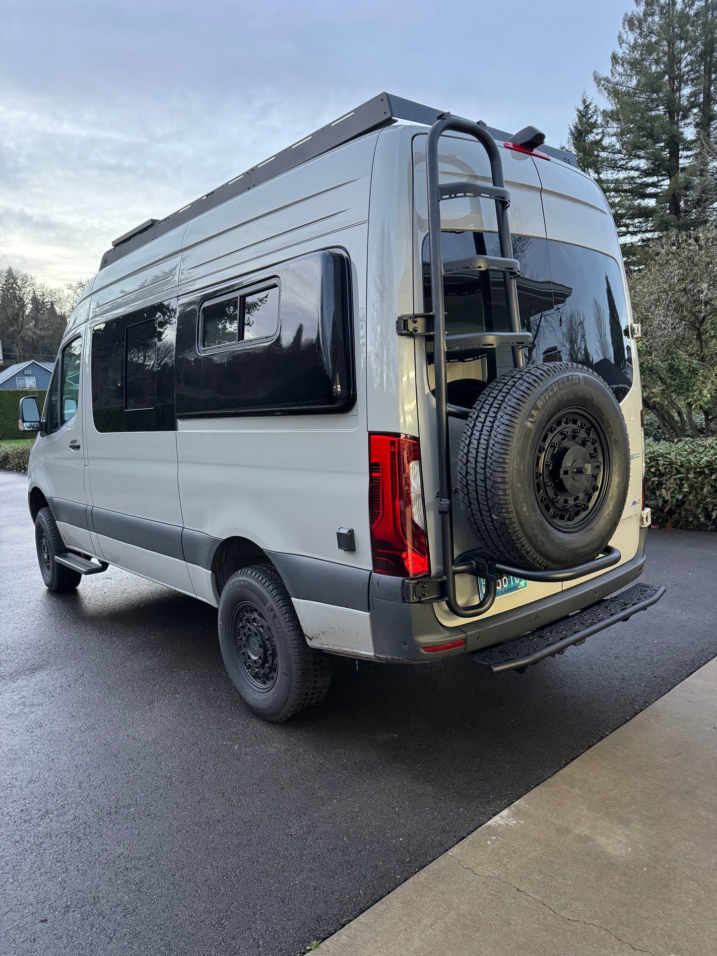 Sprinter two-in-one tire ladder carrier