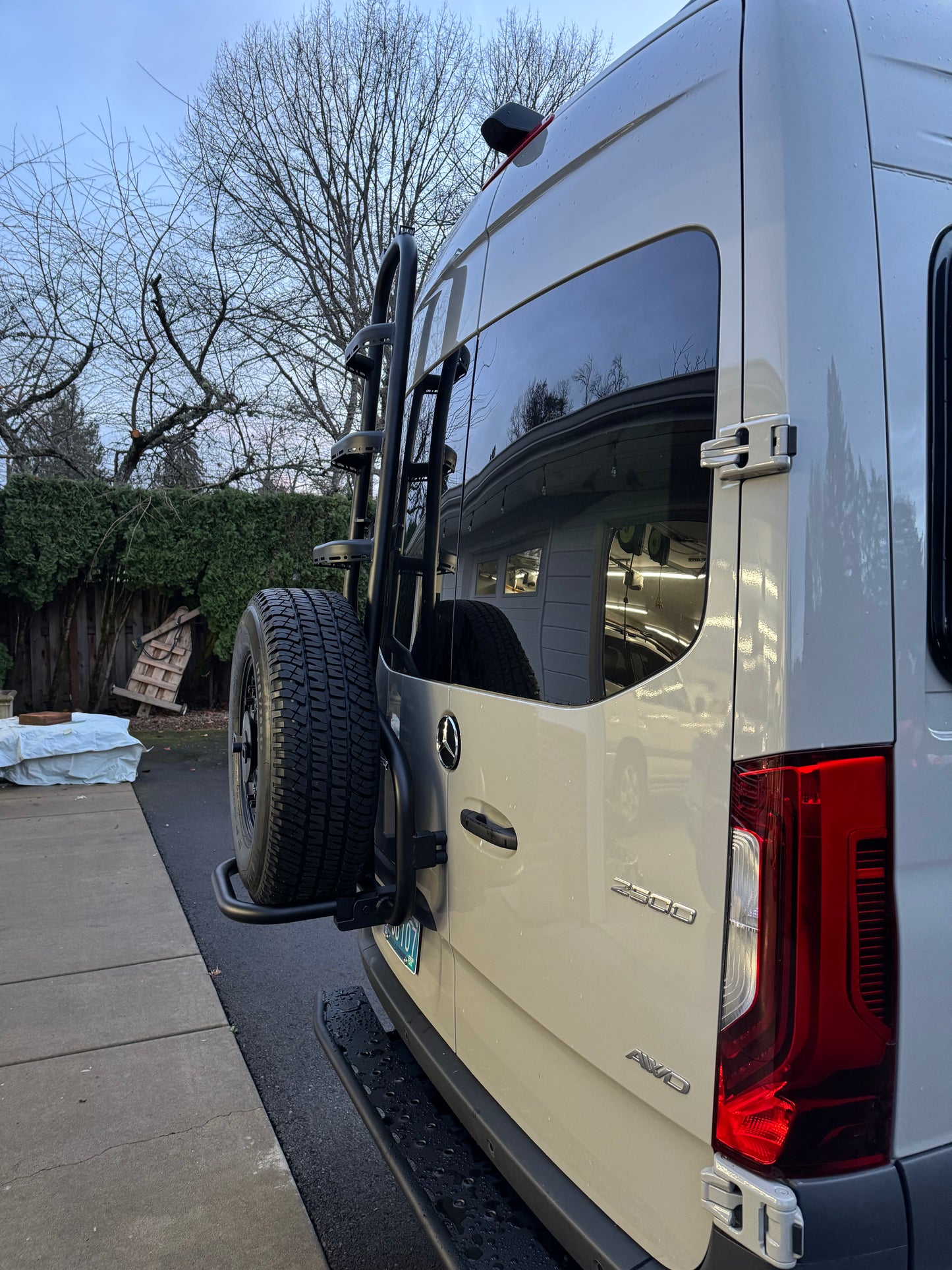 Sprinter two-in-one tire ladder carrier