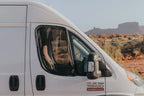 RamProMasterFrontDoorBugScreens_VanEssentialinstall