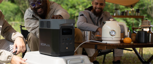 NOUVEAU ECOFLOW DELTA 2 